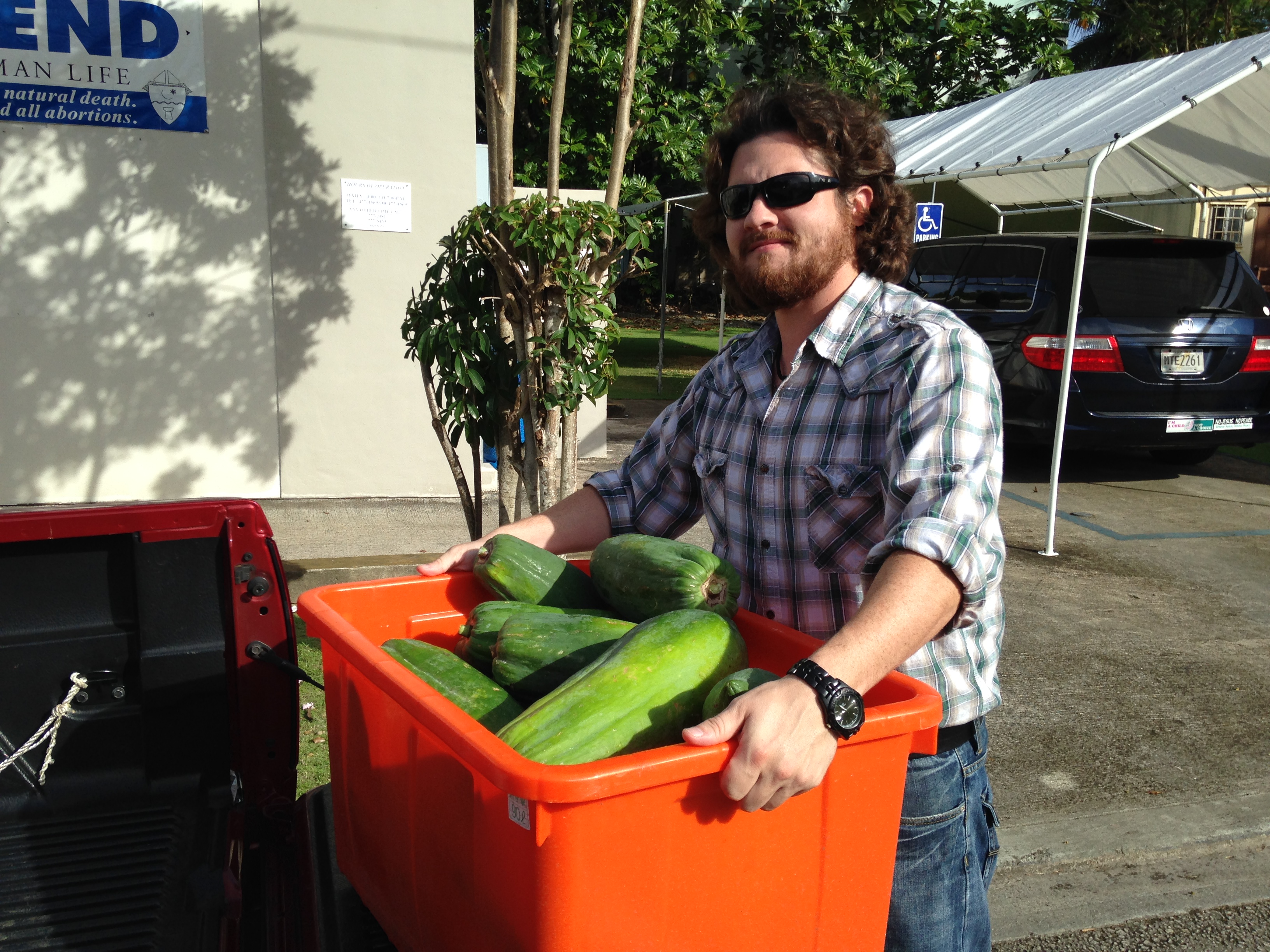 papaya donation