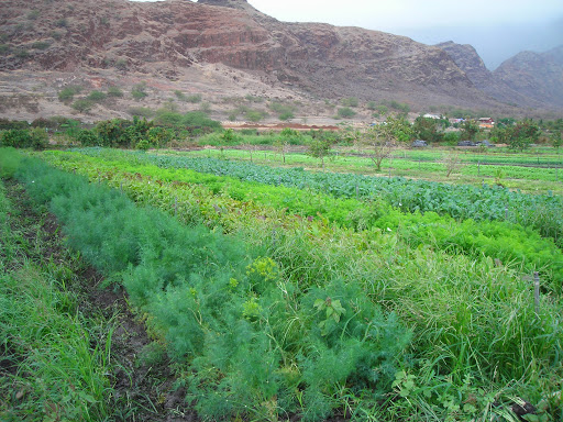 Ma'o Organic Farm in Hawaii