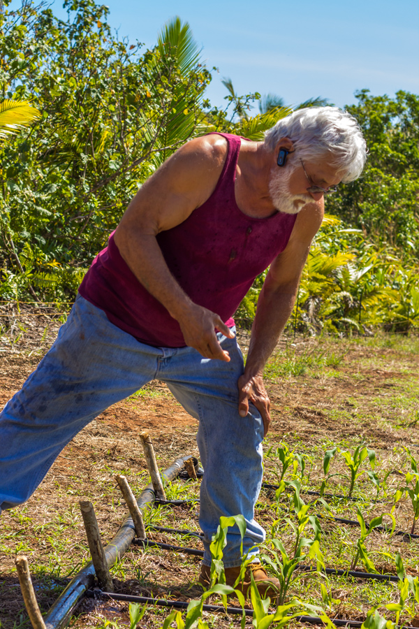 Ernie Wusstig at Farm