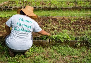 Who is Farm to Table and How Can We Help You?