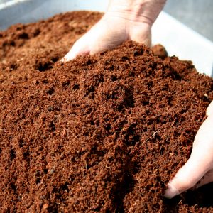 Compost Soil
