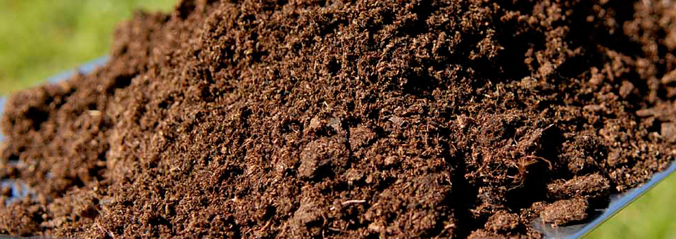 Compost Dirt