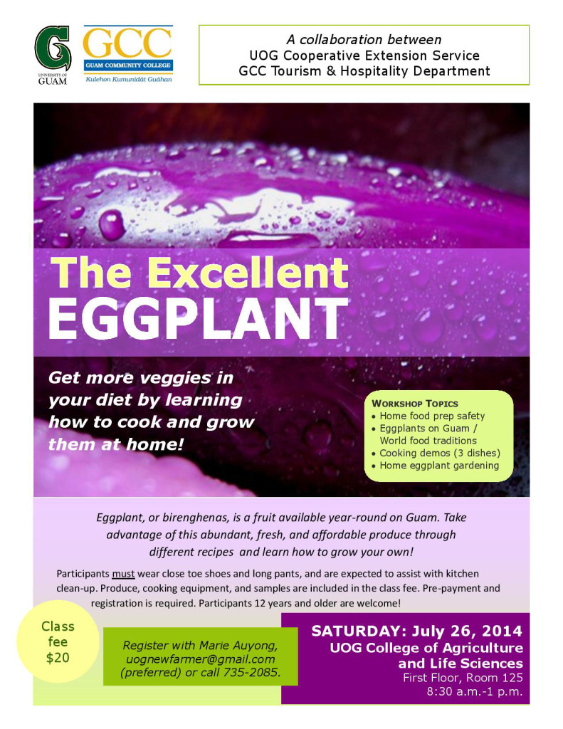 Eggplant Workshop