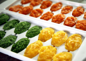 baby food in ice cube trays