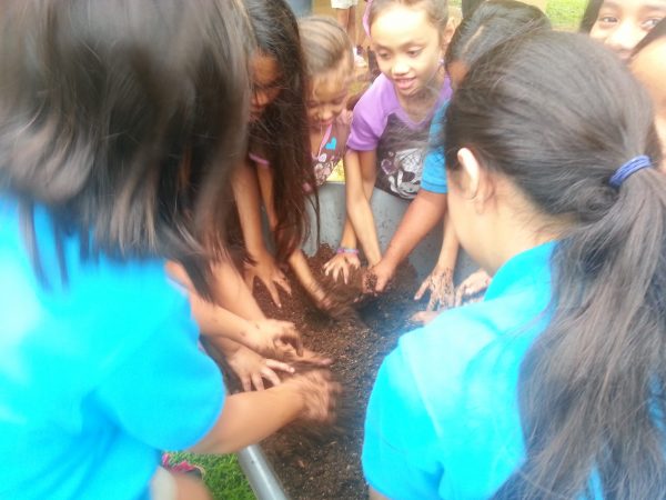 Island Girl Power-Guåhan Academy Charter School-2014 - Farm to Table ...