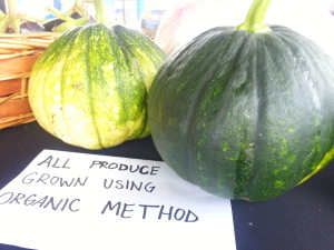 pumpkins grown using organic method