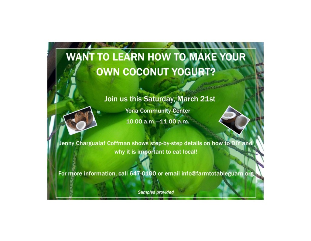 DIY coconut yogurt demo flyer