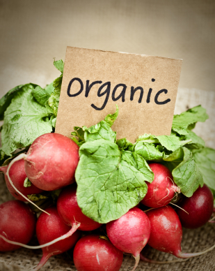 organic radishes
