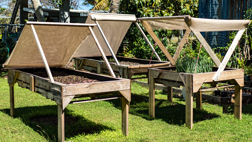 Home Harvest System Tables, Farm to Table Guam