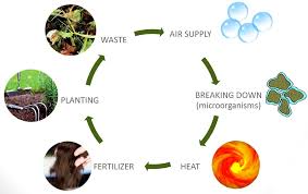 composting diagram