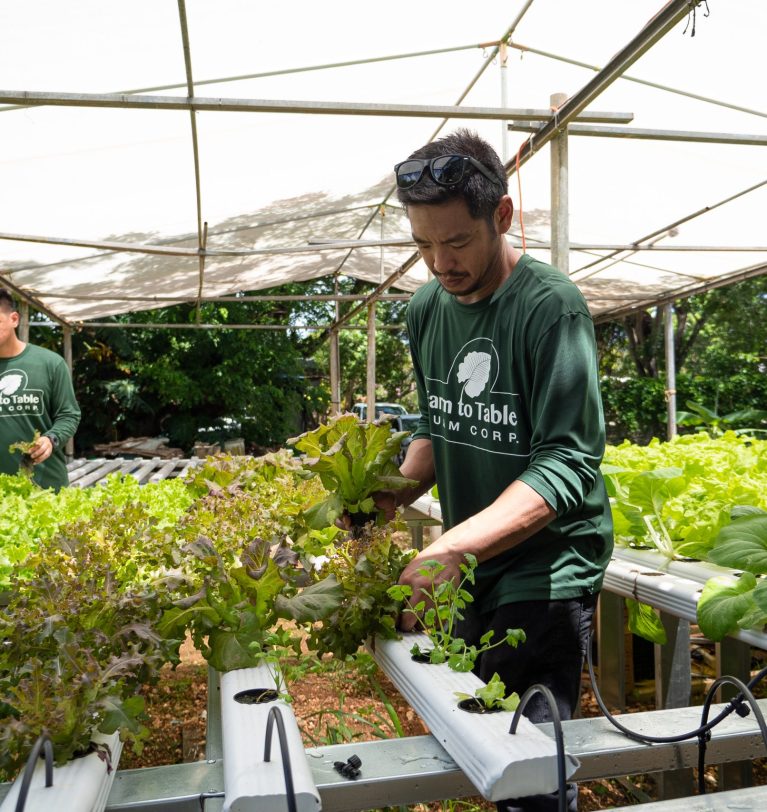 Steps to Becoming a Guam Bona Fide Farmer