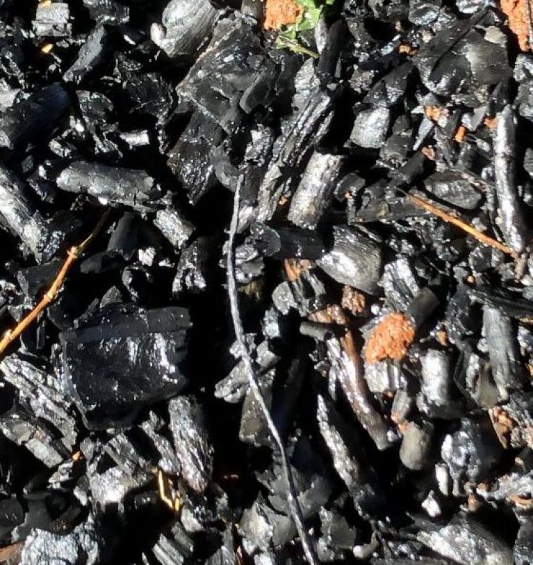 Upcoming Workshop 3/29/25: How to Make Soil Amendments; Biochar and Compost Tea