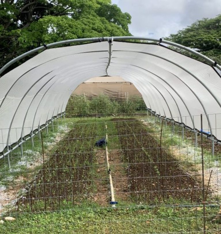 Upcoming Meeting 5-14-25: Step by Step Guide to Applying for USDA FSA Farm Loans