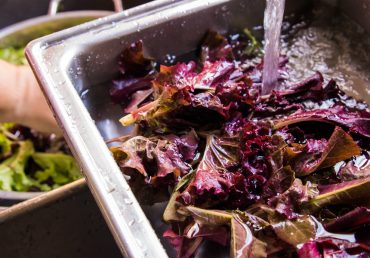 Food Safety Plan