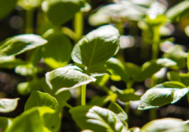 Steps to Becoming CORE Certified with Guam EPA