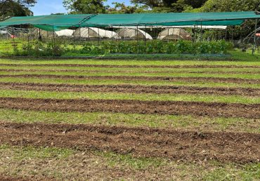 How to Write a Farm Business Plan